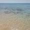 Villa 20 m.dal mare