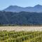 Foto: Straw Lodge Vineyard and Boutique Lodging 5/27