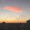Hermosos atardeceres …