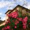 42 Vacanza di relax in Maremma - wifi - free parking