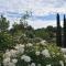 42 Vacanza di relax in Maremma - wifi - free parking
