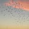 Hermosos atardeceres …
