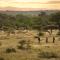 Lion Sands River Lodge - Sabi Sand Game Reserve