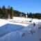 Charmant 2 pièces proche pistes avec balcon et animaux admis - FR-1-549-98