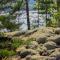 Hideway Glamping Tree tent
