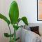 Flat 126