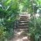Casitas Del Rio Riverfront Nature Lodge - Uvita