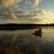 Leśny Kont Mazury