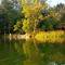 Leśny Kont Mazury