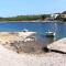 Apartments by the sea Mudri Dolac, Hvar - 5694