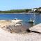 Apartments by the sea Mudri Dolac, Hvar - 595 - Vrbanj