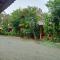 Pina House