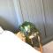 XxHot TubxX 4Bed semi, sleeps 8, 2 bathrooms