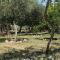 Studio Sucuraj 6852a