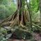 Pakchong hostel & wildlife tour