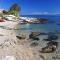 Apartments by the sea Milna, Vis - 8895