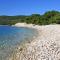 Apartments with parking space Rukavac, Vis - 8897