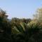 Apartments by the sea Mandre, Pag - 6545
