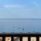 Green Coast 136