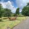 Achanlochan Farm