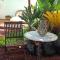 Beautiful Bungalow en VV con wifi,netflix cerca del mar