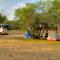 Greenwood safari camp