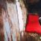 Suite Zen y Cueva Refugio