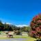 Franz Josef TOP 10 Holiday Park