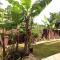 Oasis Living Getaway in Mandeville, Manchester - Mandeville