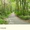 Luxurious Property, Paddy's Haven, Wild Atlantic Way, County Clare - 基尔拉什