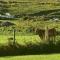 Luxurious Property, Paddy's Haven, Wild Atlantic Way, County Clare - 基尔拉什