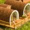 Kazbegi Glamping