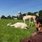 De Alpacaboerderij De Alpacaboerderij