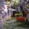 Villa Mirano Bed & Breakfast