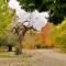 Finca La Celada