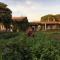 Olimagio Farm Stay with animals and 25m pool, beach at cycling distance