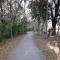 Retreat at Hammock Dunes Beach, Palm Coast