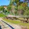 Coimbra Camping & Bungalows