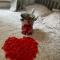 Nefoedd Romantic Shepherds Hut