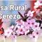 ALOJAMIENTO RURAL CEREZO - Murcia