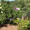 Apartments by the sea Podaca, Makarska - 6821