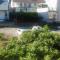 Apartments by the sea Podaca, Makarska - 6821
