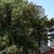 Apartments by the sea Mandre, Pag - 6539