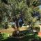 Apartments by the sea Tkon, Pasman - 8410
