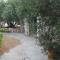 Secluded fishermans cottage Cove Vitane, Pasman - 8465