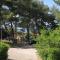 Apartments with a parking space Jelsa, Hvar - 8750 - 耶尔萨