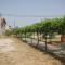 Holiday house with a parking space Kraj, Pasman - 8258