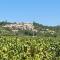Villa provençale entre Cévennes et Provence avec une grande piscine et un terrain de pétanque - Martignargues