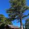 Enjoy Eco Lodge