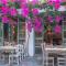 Flamingo Hotel & Spa - Pet Friendly